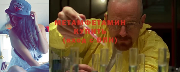 ГАЛЛЮЦИНОГЕННЫЕ ГРИБЫ Осинники