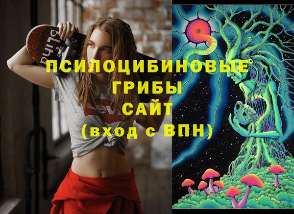 мяу мяу мука Пересвет