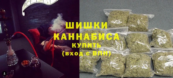ГАЛЛЮЦИНОГЕННЫЕ ГРИБЫ Пестово