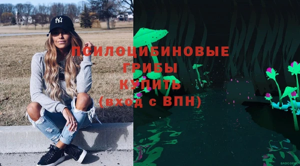мяу мяу мука Пересвет