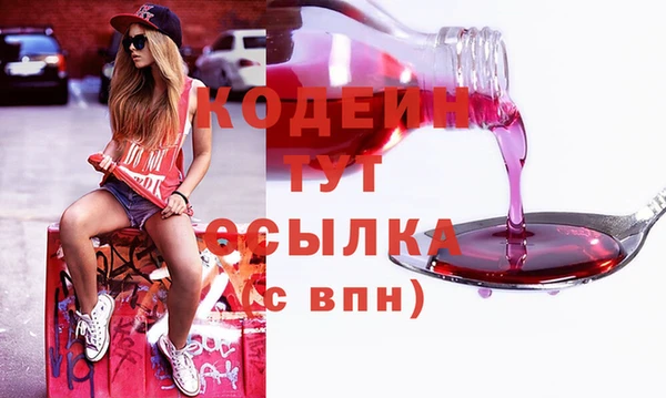 ГАЛЛЮЦИНОГЕННЫЕ ГРИБЫ Осинники