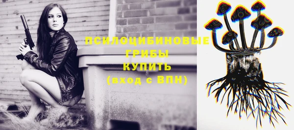 ГАЛЛЮЦИНОГЕННЫЕ ГРИБЫ Пестово
